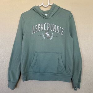 Abercrombie Kids Sage Hoodie